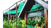 Kinh doanh dịch vụ homestay cần có những giấy phép gì?