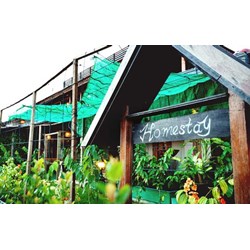 Pháp luật quy định về kinh doanh homestay