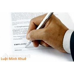 Đăng ký bảo hộ chỉ dẫn địa lý theo quy định của Luật Sở hữu trí tuệ