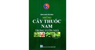 Sách Sống khỏe mỗi ngày - Những cây thuốc nam trong vườn nhà (Tăng Bình - Ái Phương)