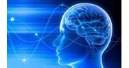 Nhận thức lý tính là gì? So ѕánh giữa nhận thức cảm tính ᴠà nhận thức lý tính?