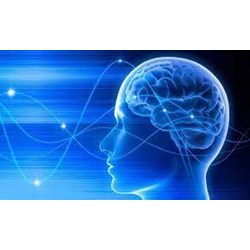 Nhận thức lý tính là gì? So ѕánh giữa nhận thức cảm tính ᴠà nhận thức lý tính?