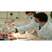 Các trường hợp bắt buộc phải trưng cầu giám định trong tố tụng hình sự mới nhất