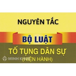Những quyên tắc cơ bản trong việc tố tụng dân sự