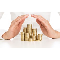 Giám sát hoạt động chấp hành ngân sách nhà nước là gì?