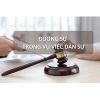 Quy định về đương sự trong vụ việc dân sự