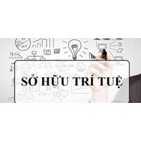 Xử lý vi phạm quyền sở hữu trí tuệ theo luật định
