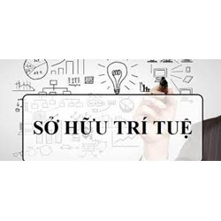 Xử lý vi phạm quyền sở hữu trí tuệ theo luật định