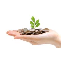 Hợp đồng chuyển nhượng quyền sử dụng đất bị vô hiệu khi nào?