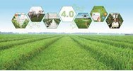 Các chính sách ưu đãi, hỗ trợ của Nhà nước để tiêu thụ sản phẩm nông nghiệp