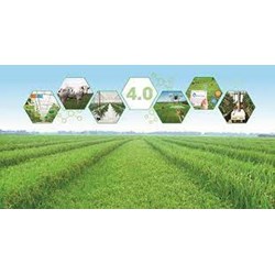 Các chính sách ưu đãi, hỗ trợ của Nhà nước để tiêu thụ sản phẩm nông nghiệp