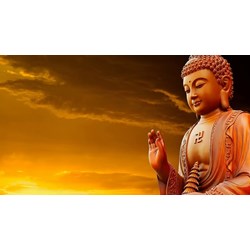 Nguồn gốc hình thành và đặc điểm của Phật giáo Việt Nam?