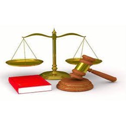 Kế hoạch thanh tra là gì? Căn cứ để xây dựng chương trình, kế hoạch thanh tra?