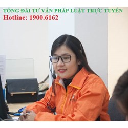 Trong các hợp đồng thương mại quốc tế cần lưu ý những gì về sở hữu trí tuệ ?