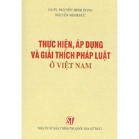 Sách Thực hiện, áp dụng và giải thích pháp luật ở Việt Nam (GS.TS. Nguyễn Minh Đoan)