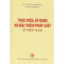 Sách Thực hiện, áp dụng và giải thích pháp luật ở Việt Nam (GS.TS. Nguyễn Minh Đoan)
