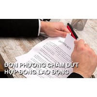 Đơn phương chấm dứt hợp đồng lao động trong quan hệ pháp luật lao động