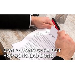 Đơn phương chấm dứt hợp đồng lao động trong quan hệ pháp luật lao động