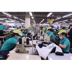 Đảm bảo quyền của lao động nữ trong lĩnh vực việc làm và tuyển dụng