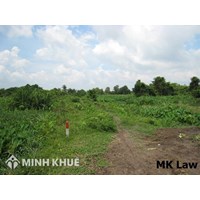 Điều kiện thuê đất nông nghiệp, cho thuê lại đất nông nghiệp?