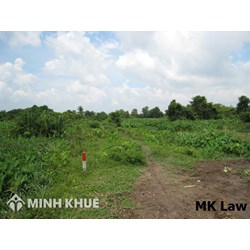 Điều kiện thuê đất nông nghiệp, cho thuê lại đất nông nghiệp?