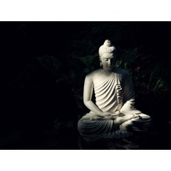Tìm hiểu về nhân sinh quan, triết lý nhân sinh trong quan niệm của Đạo Phật