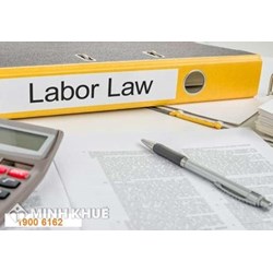 Hồ sơ xin việc gồm những gì, mua ở đâu?
