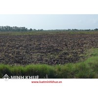 Mẫu Biên bản xác định ranh giới mốc giới thửa đất mới nhất