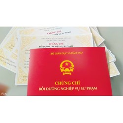 Chứng chỉ nghiệp vụ sư phạm là gì, học mất bao lâu?