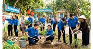 Quyền hạn và nhiệm vụ của người đoàn viên bao gồm những gì?