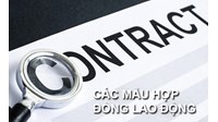 Mẫu hợp đồng lao động không thời hạn mới nhất năm 2026