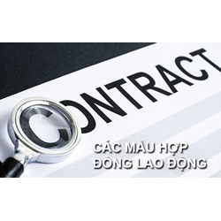 Mẫu hợp đồng lao động không thời hạn mới nhất năm 2026