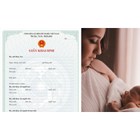 Thủ tục làm giấy khai sinh Online tại Hà nội, TP HCM