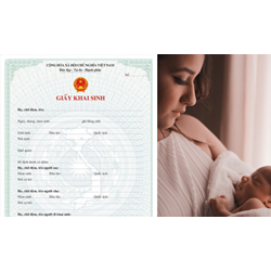 Thủ tục làm giấy khai sinh Online tại Hà nội, TP HCM
