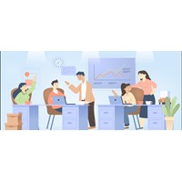 Sinh viên luật có nên đi làm, thực tập sớm không?