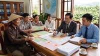 Giá đền bù đất trồng cây lâu năm khi nhà nước thu hồi đất?
