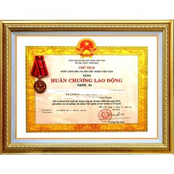 Hủy khen thưởng Huân chương lao động dựa căn cứ pháp lý nào?