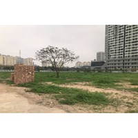 Đất bỏ hoang có bị đánh thuế lũy tiến hay không?