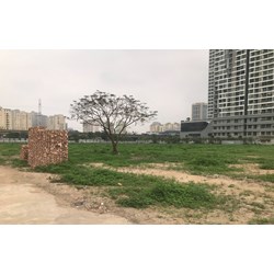Đất bỏ hoang có bị đánh thuế lũy tiến hay không?