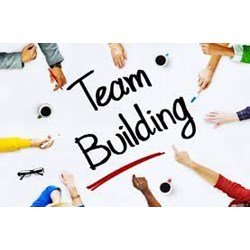 Mức phạt người chơi, đơi vị tổ chức Team Buiding phản cảm trên bãi biển?