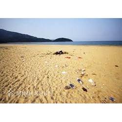 Xả rác ra bãi biển bị xử phạt bao nhiêu tiền?