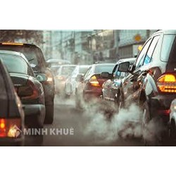Việt nam cấm toàn bộ xe xăng vào năm 2050 đúng không?