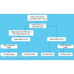 Công đoàn bộ phận là gì? Công đoàn bộ phận có vị trí, chức năng gì?