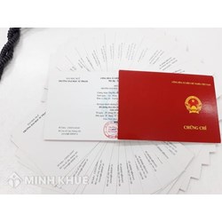 Công chức, viên chức được bỏ chứng chỉ ngoại ngữ, tin học khi nào?