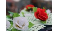 Ý nghĩa bông hồng đỏ, trắng, vàng cài áo trong lễ Vu lan là gì?