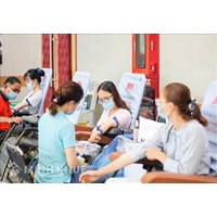 Quyền lợi của người hiến máu nhân đạo là gì?