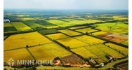 Hạn mức đất nông nghiệp được mở rộng như thế nào theo Nghị quyết 18-NQ/TW?
