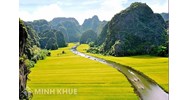 Thủ tục đăng ký nhãn hiệu tại tỉnh Ninh Bình