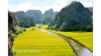 Thủ tục đăng ký nhãn hiệu tại tỉnh Ninh Bình