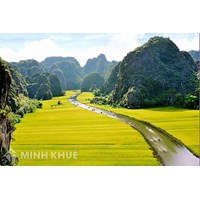Thủ tục đăng ký nhãn hiệu tại tỉnh Ninh Bình